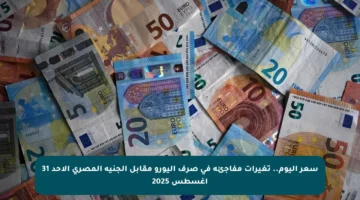 سعر اليوم.. تغيرات مفاجئة في صرف اليورو مقابل الجنيه المصري الأحد 31 أغسطس 2025